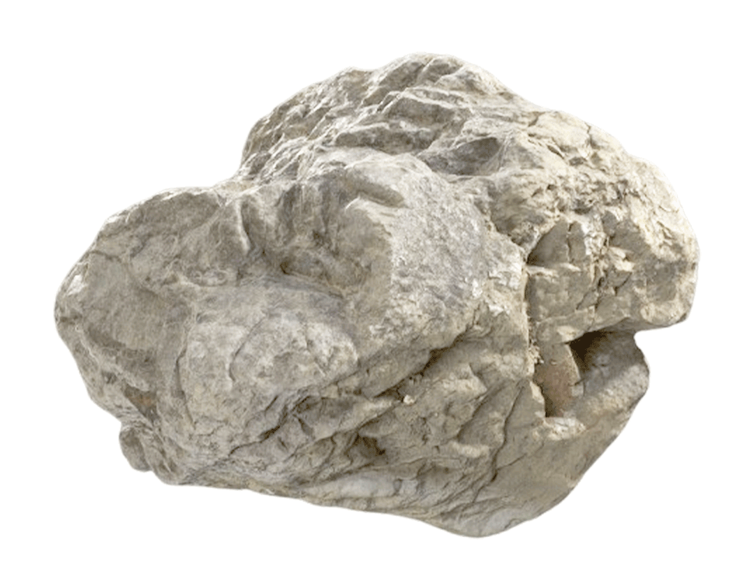 Limestone Coral Habitat Boulders